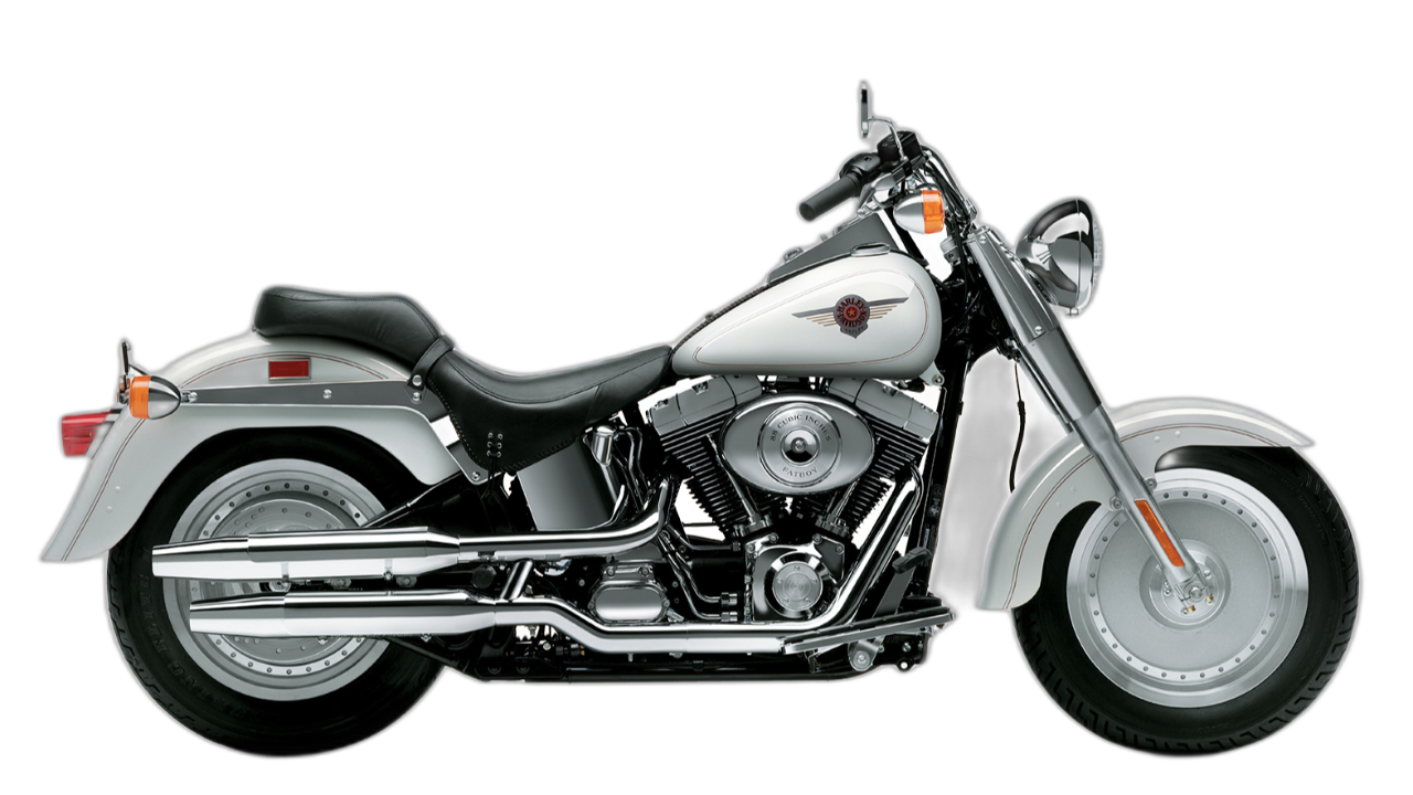 Harley-Davidson Fat Boy™ Gray Ghost
