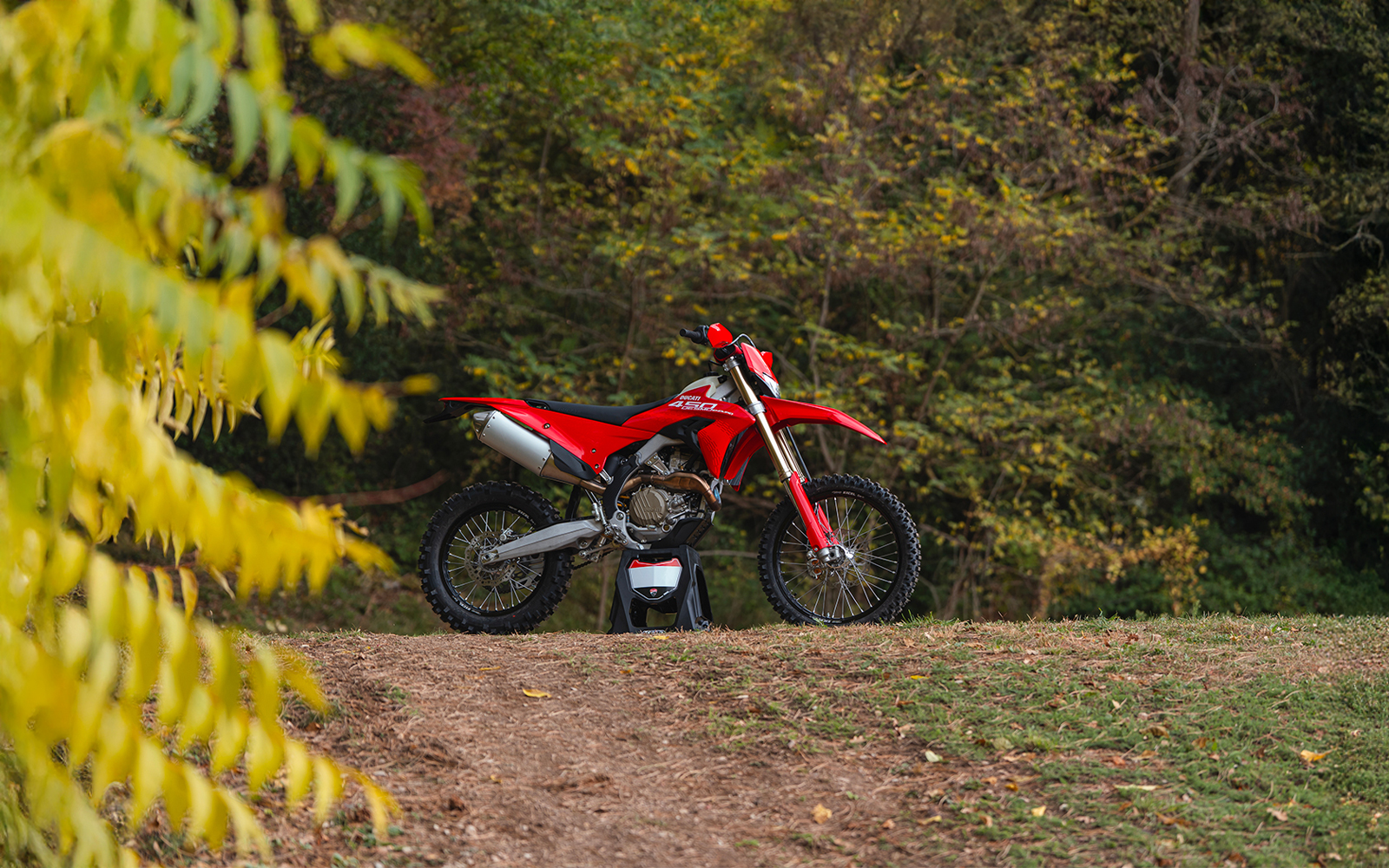 Ducati Desmo450 EDS 2026: Die erste Enduro mit Kennzeichen