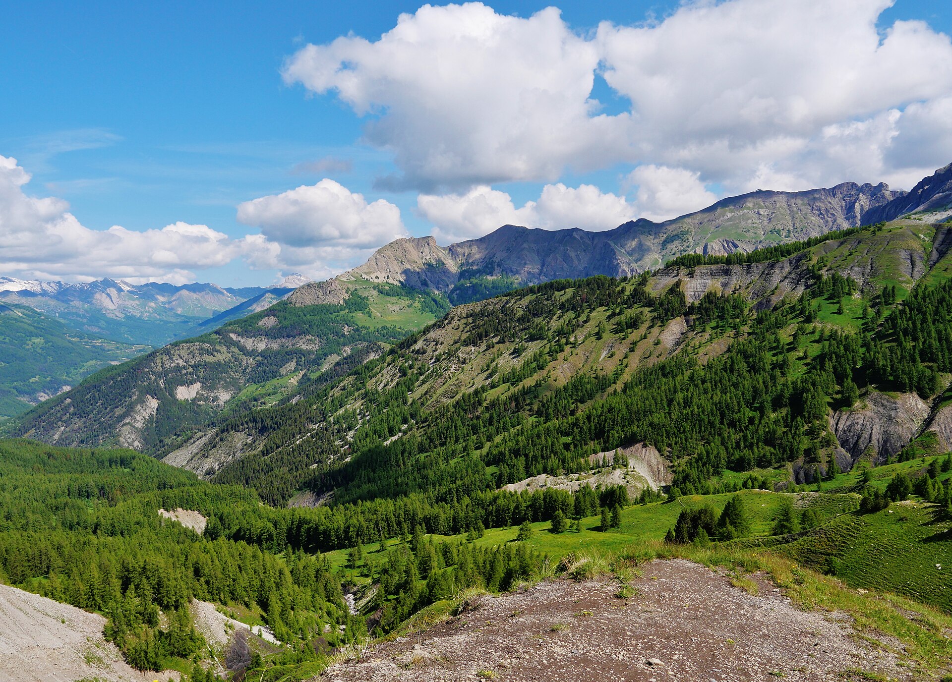 Foto: Zairon · Wikimedia Commons · CC0 · https://commons.wikimedia.org/wiki/File:Alpes-de-Haute-Provence_Col_des_Champs_03.jpg